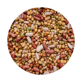 Kwati - Vhandar