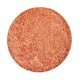 Musuro Dal (Big) - Vhandar