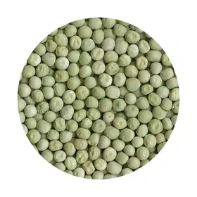 Hariyo Matar (Green Peas) - Vhandar