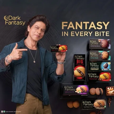 Sunfeast Dark Fantasy Choco Fills Biscuit