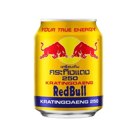 Red Bull Energy Drink (250ml)