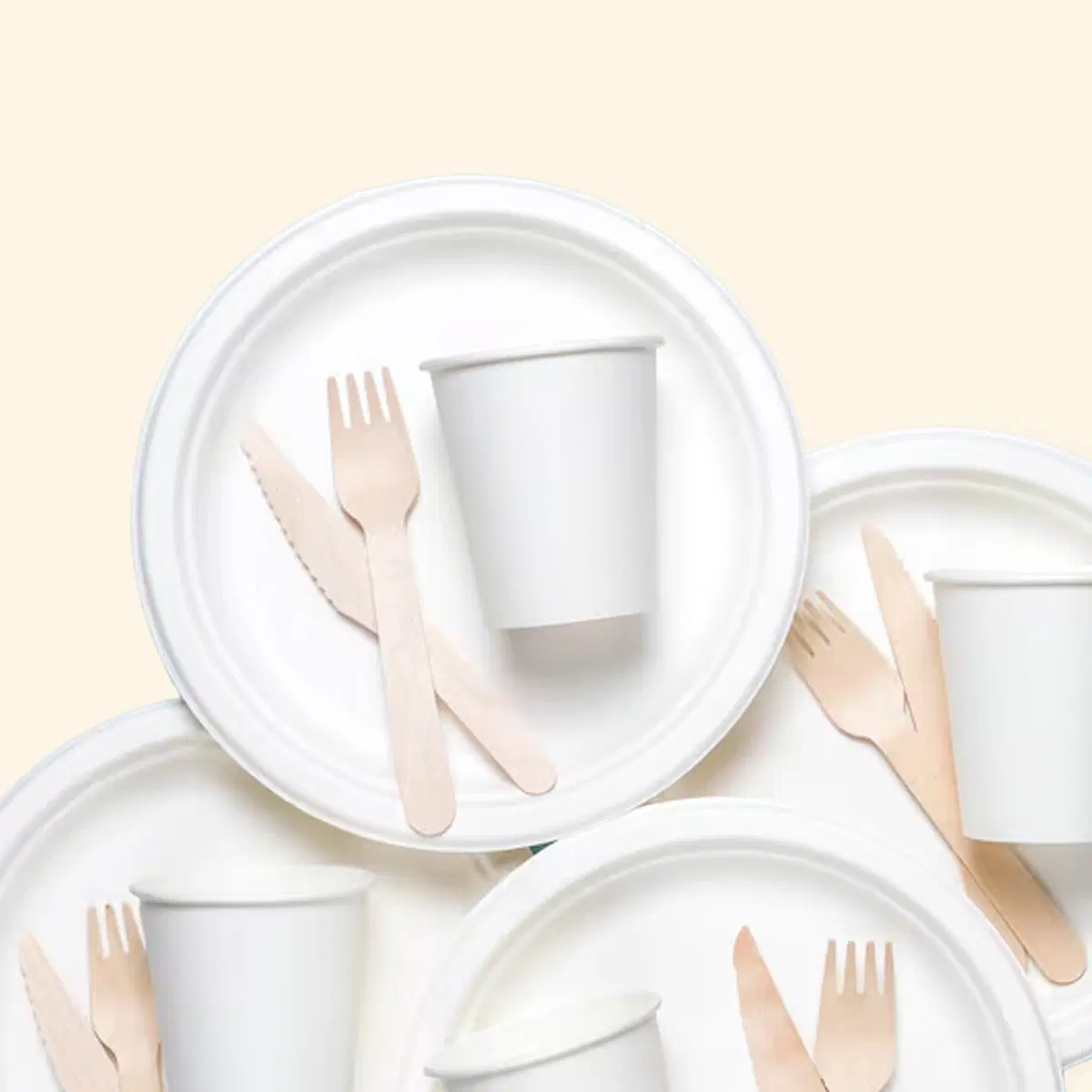 Disposable Tableware