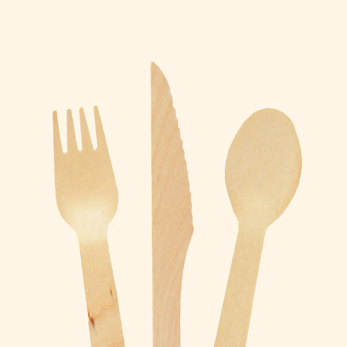  Cutlery & Tissues