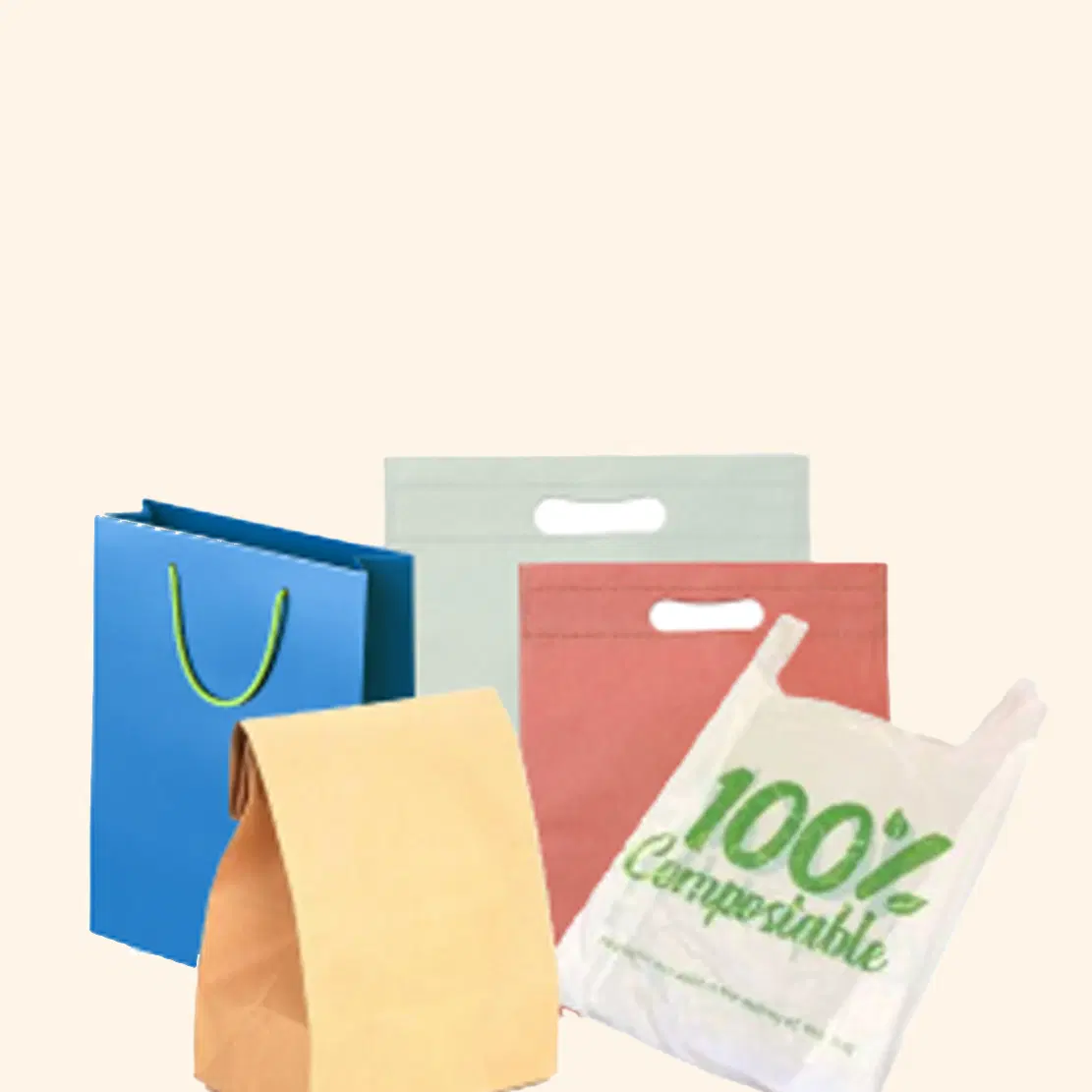  Carry Bags